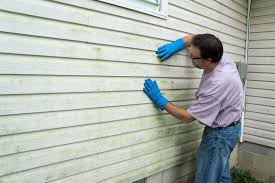 Affordable Siding Repair and Maintenance Services in Monticello, IL